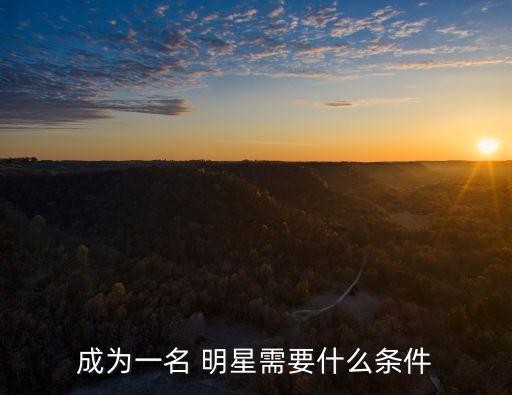 成为一名 明星需要什么条件