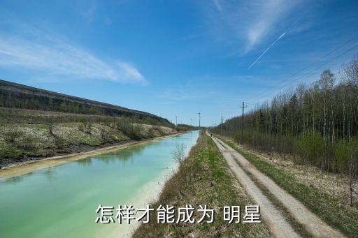怎样才能成为 明星