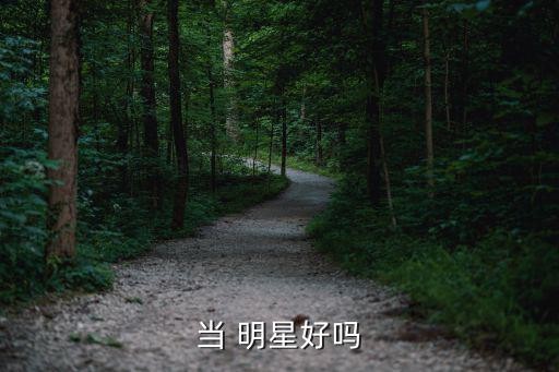 当 明星好吗