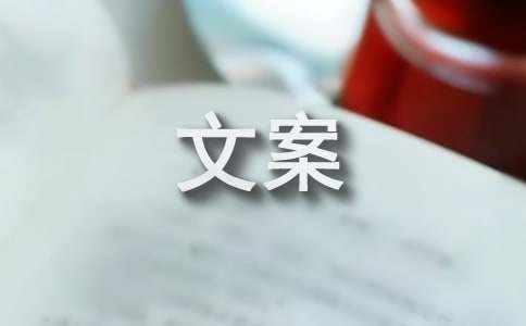 恋爱官宣文案（精选455句）