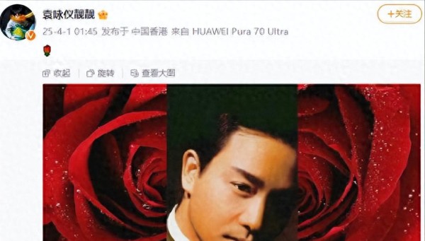 张国荣去世22周年！袁咏仪深夜发文，缅怀之情令人动容