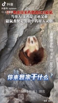 戚薇爆料：陪睡算个啥！韩国娱乐圈...@妙笔生花的动态