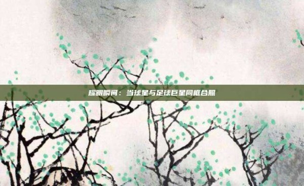 耀眼瞬间:当球星与足球巨星同框合照