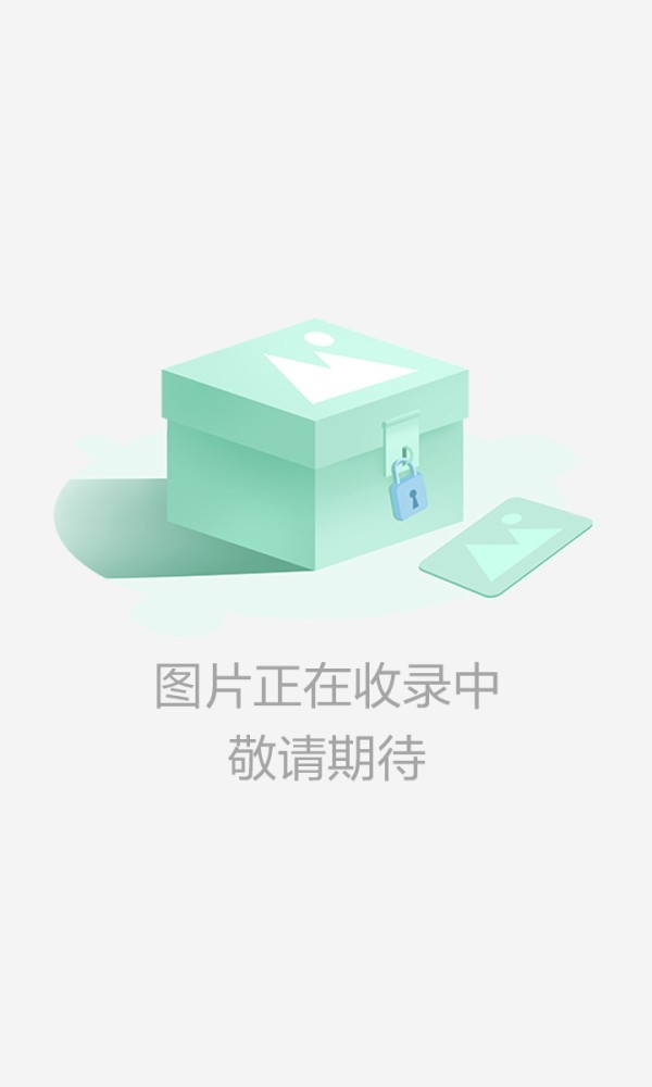 足球大明星截图1