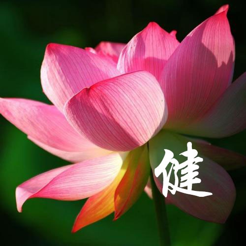 顾静