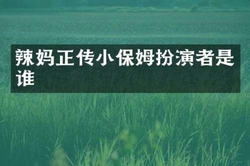 辣妈正传小保姆扮演者是谁