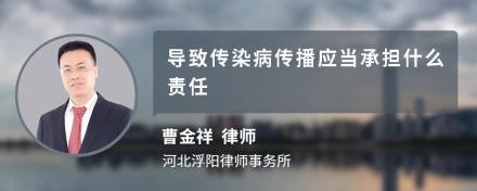 导致传染病传播应当承担什么责任