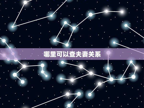 哪里可以查夫妻关系，如何查询两人是否为夫妻 第1张