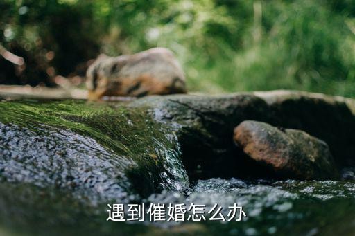 遇到催婚怎么办