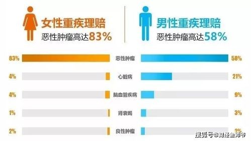 揭秘:如何通过生肖星座测试两人的缘分?