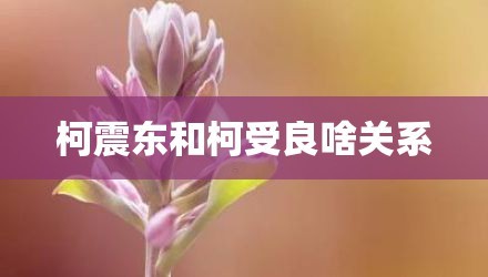 柯震东和柯受良啥关系