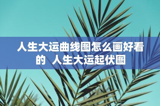 人生大运曲线图怎么画好看的 人生大运起伏图