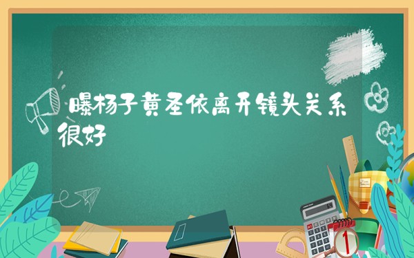 曝杨子黄圣依离开镜头关系很好插图