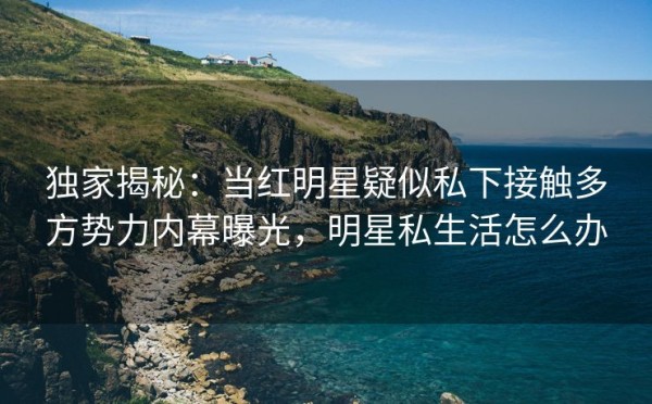 独家揭秘：当红明星疑似私下接触多方势力内幕曝光，明星私生活怎么办