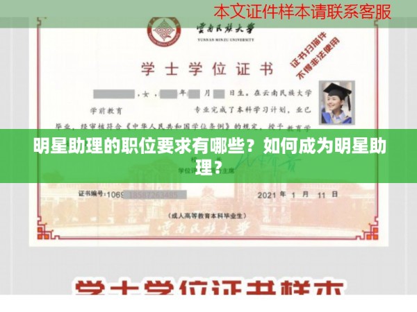 明星助理的职位要求有哪些？如何成为明星助理？