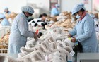 关税闹剧让美国人过节难