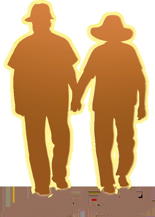 黄主编的理想夫妻关系探讨