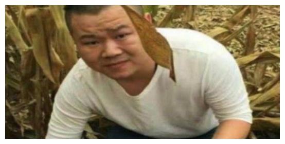 明星回老家后的样子，周润发最接地气，最后一位被村民扔砖头
