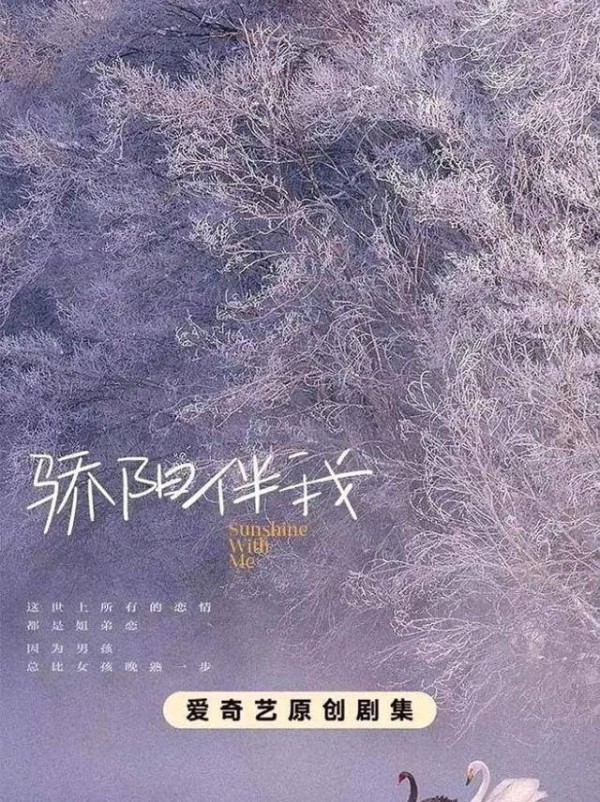 <a style='color:#f10404;' href='https://www.mingxing.cc/tags-2589.html ' target='_blank'>肖战</a>摆脱“流量”束缚，《骄阳伴我》不是《骄阳似我》！