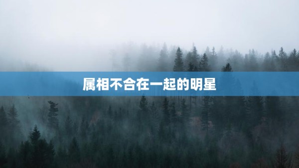 属相不合在一起的明星，属相不合在一起的明星是谁 第1张