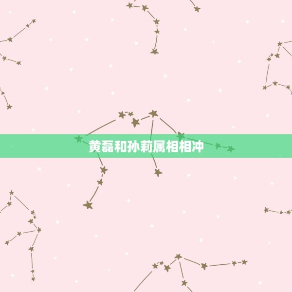 黄磊和孙莉属相相冲，有人说，男女相差6岁不好，属猪跟属蛇的相克不能在一 第1张