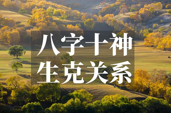 八字十神生克关系