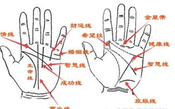什么是相冲相害相刑相克 相刑是什么意思