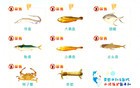 今起浙江全面进入休渔期 8种海产品8日起禁售
