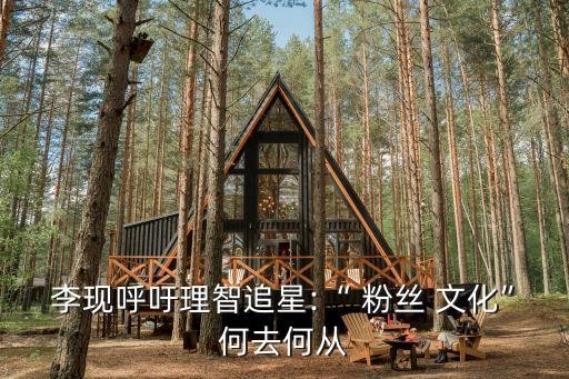 李现呼吁理智追星:“ 粉丝 文化”何去何从