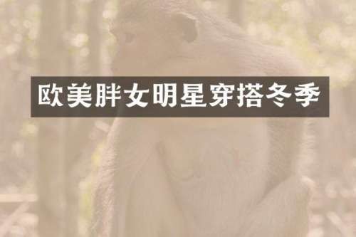 欧美胖女明星穿搭冬季