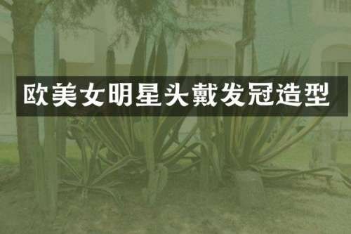 欧明星头戴发冠造型