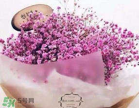 母亲节可以送满天星吗？母亲节能送满天星吗？