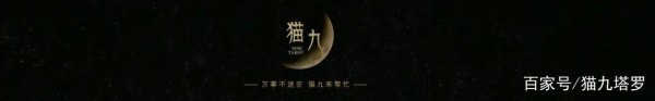 猫九塔罗占卜｜乘风破浪的姐姐谁出道了？