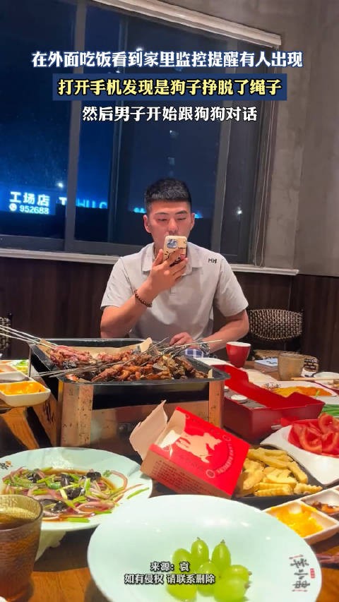 在外面吃饭看到家里监控提醒有人出现,打开手机发现是狗子挣脱了绳子