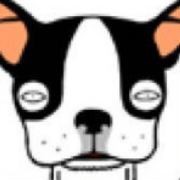 @雷佳音 的个人主页