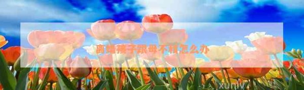 离婚孩子跟母不和怎么办