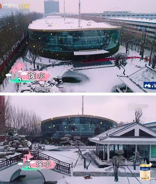 安迪三字揭母子关系，扬子四字暴露人品，黄圣依，要凉凉了？