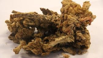 心理测试题 从讲电话测试你的爱情敏感度