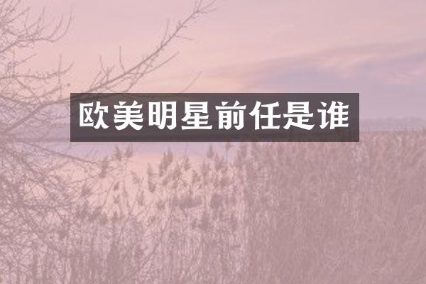 欧美明星前任是谁