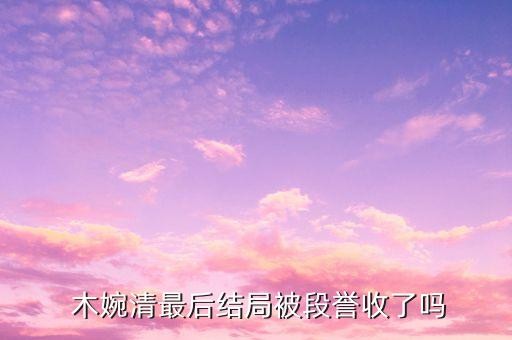  木婉清最后结局被段誉收了吗