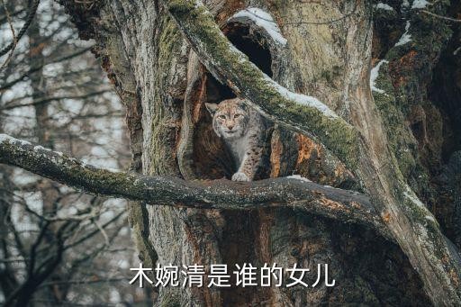  木婉清是谁的女儿