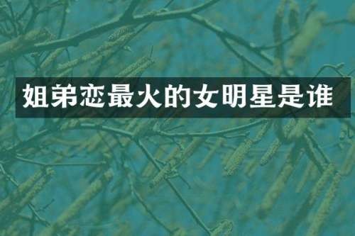 姐弟恋最火的女明星是谁