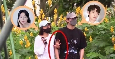 网络图片(侵删)
