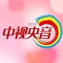 中视观察