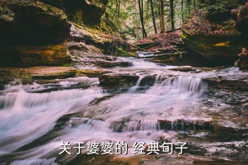关于婆婆的 经典句子