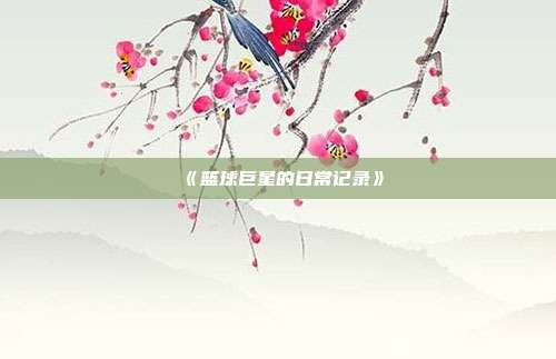 《篮球巨星的日常记录》