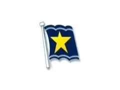 金星船公司