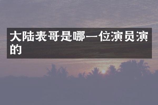 大陆表哥是哪一位演员演的