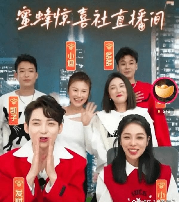 蜜蜂惊喜社是<a style='color:#f10404;' href='https://www.mingxing.cc/tags-3397.html ' target='_blank'>薇娅</a>团队的吗？