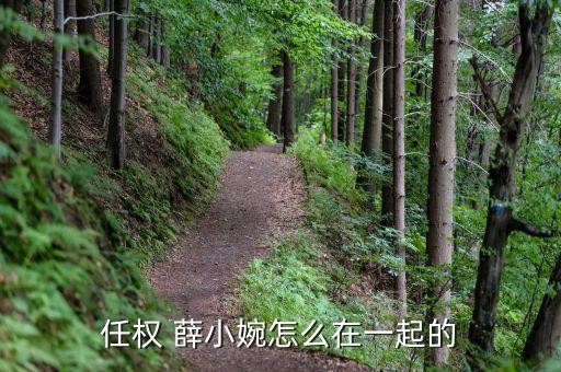 任权 薛小婉怎么在一起的